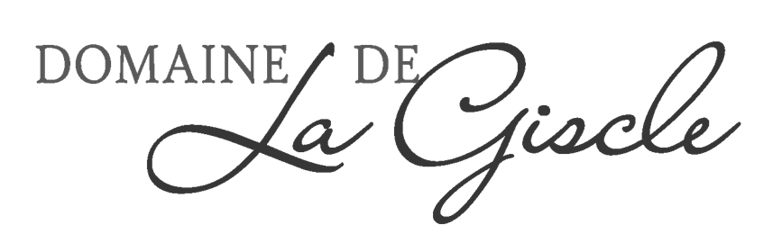 DG logo fond blanc