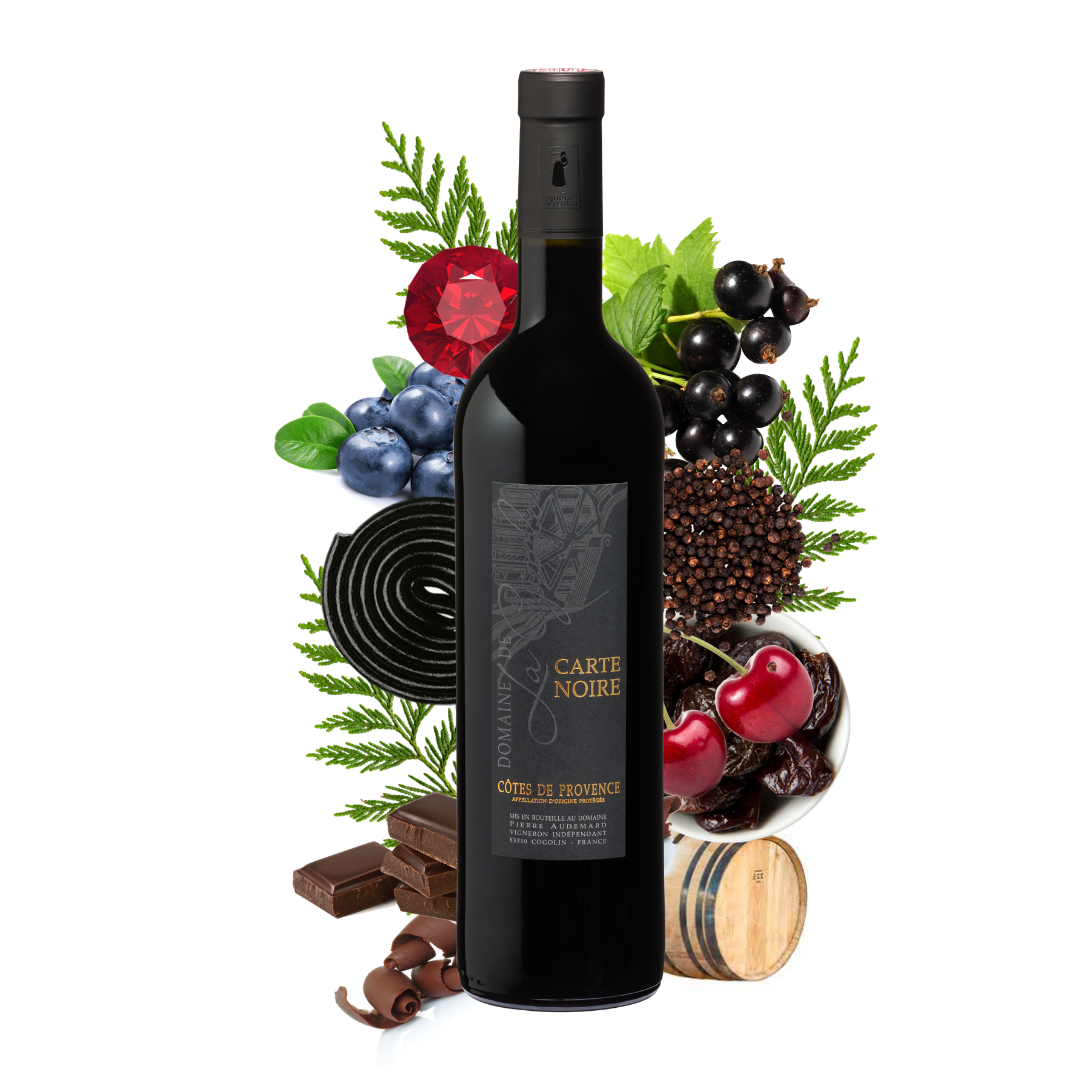 Dégustation de vin rouge au Domaine de la Giscle
