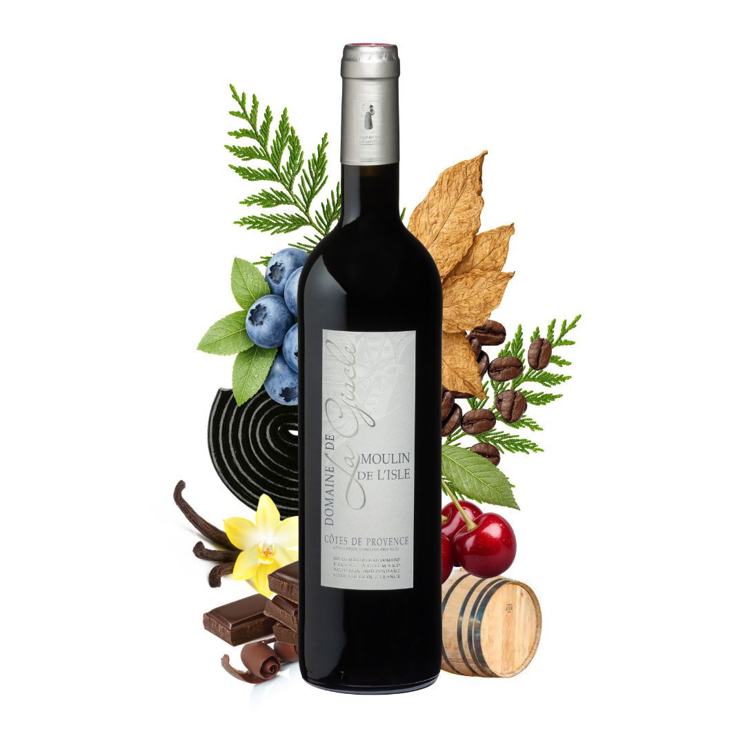 Dégustation de vin rouge au Domaine de la Giscle