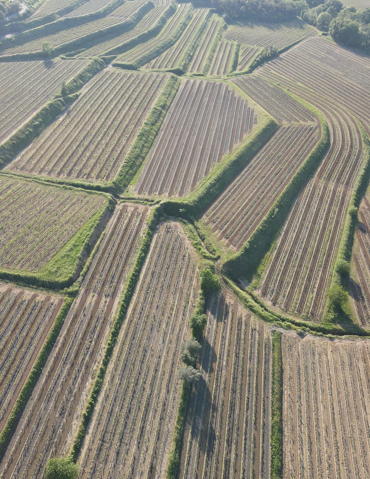 Domaine de la Giscle à Cogolin